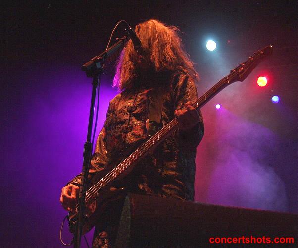 Concrete blonde will hoge 71202